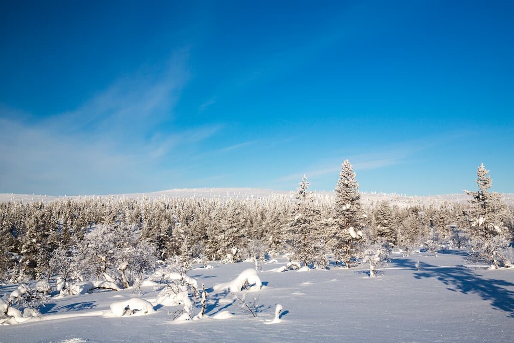 Urho Kekkonen National Park