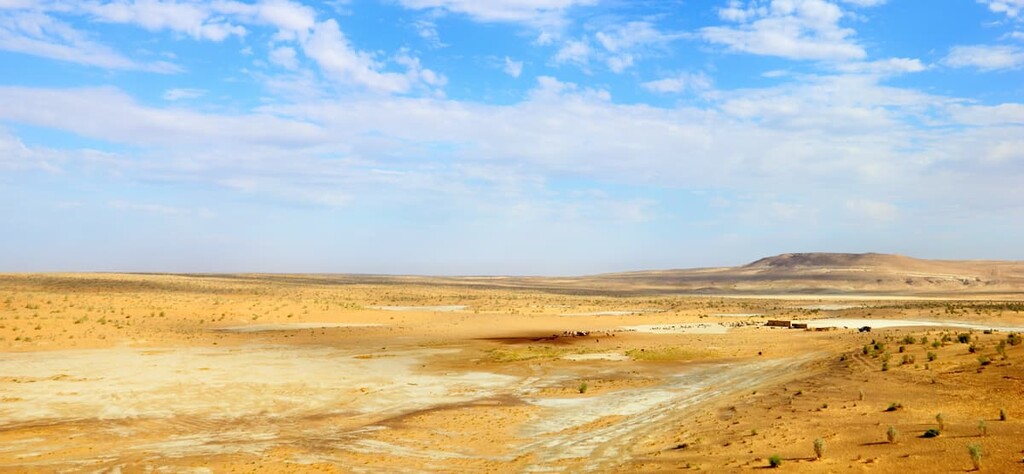 Uzbekistan, Kyzylkum Desert