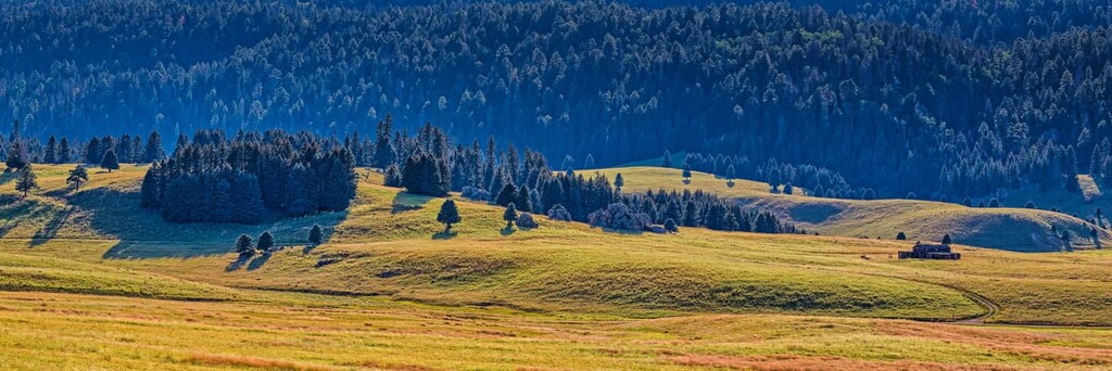 Missing Cabin Trail, Valles Caldera National Preserve, New Mexico