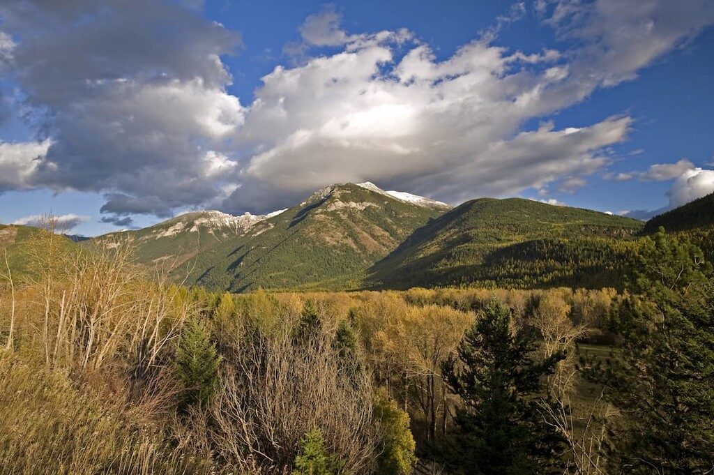  Elk River by Fernie, Van Nostrand Range, Canada