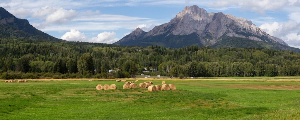 Farm field  near Fernie, Van Nostrand Range, Canada