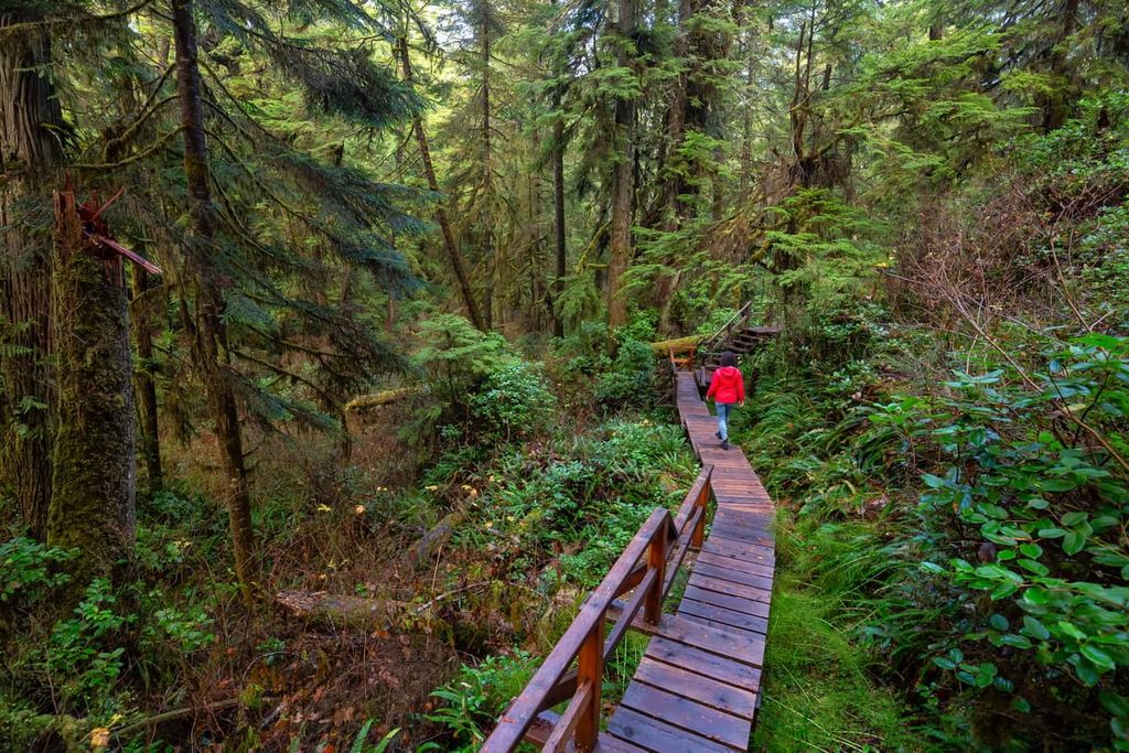 Rainforest Hike, Vancouver Island Ranges, British Columbia