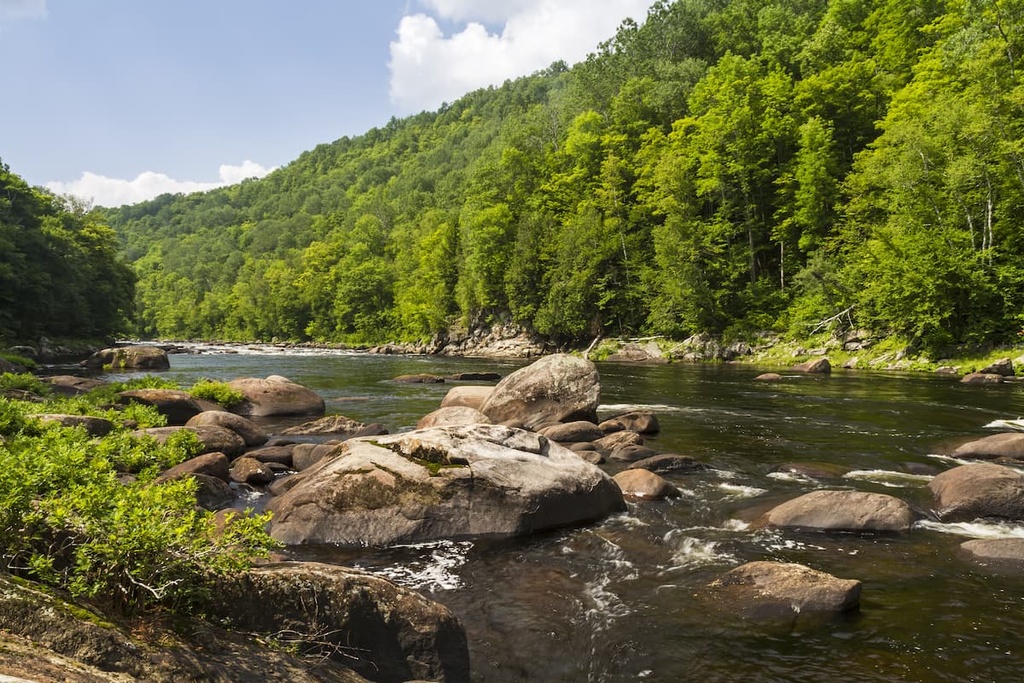 Vanderwhacker Mountain Wild Forest, New York