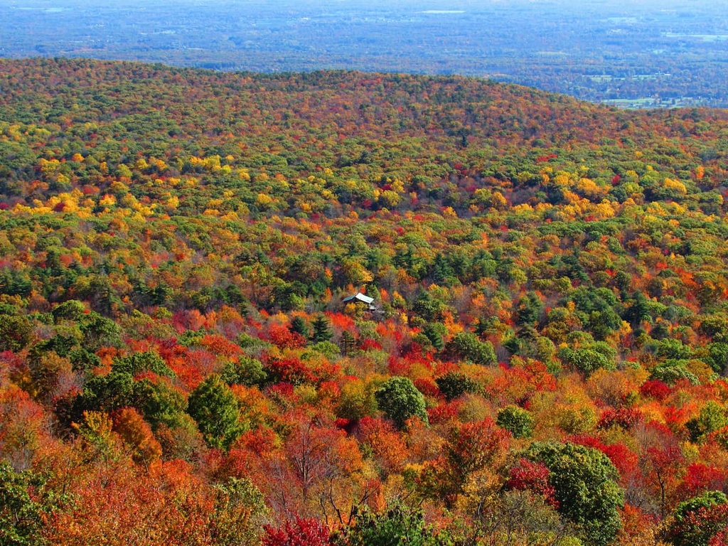 Vanderwhacker Mountain Wild Forest, New York