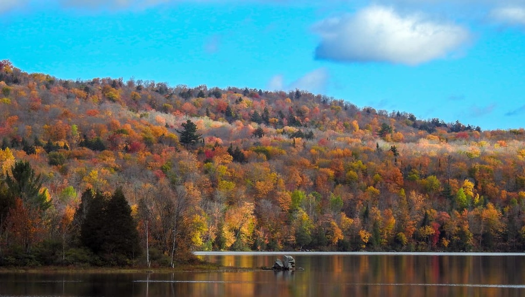 Vanderwhacker Mountain Wild Forest, New York