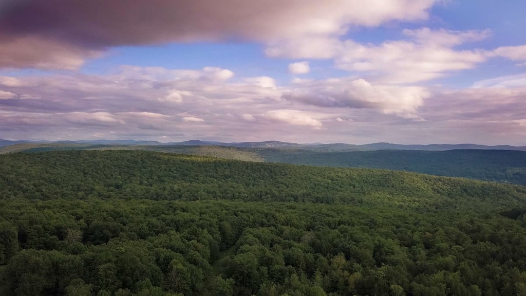 Vanderwhacker Mountain Wild Forest, New York
