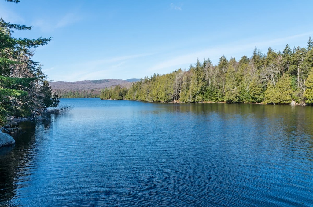 Vanderwhacker Mountain Wild Forest, New York