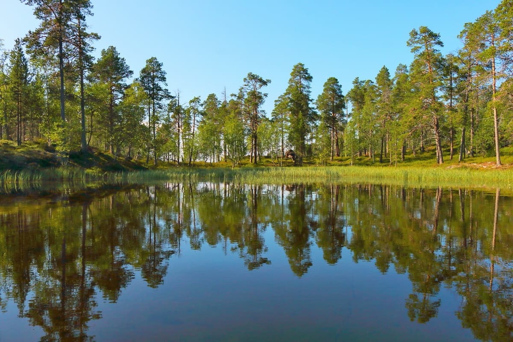 Vätsäri Wilderness Area, Finland