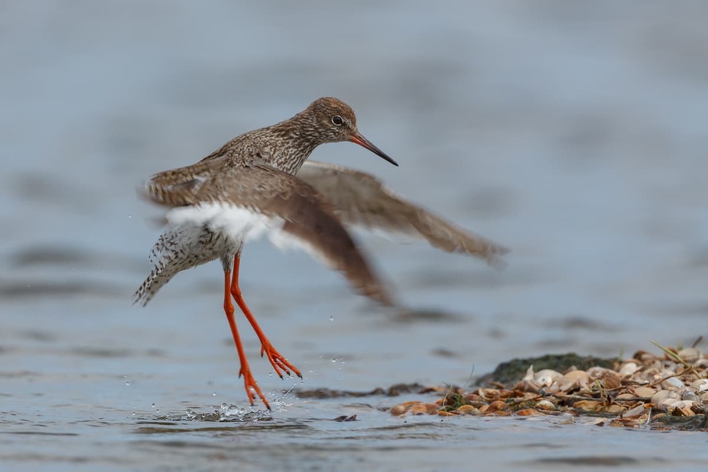 Vätsäri Wilderness Area, Finland
