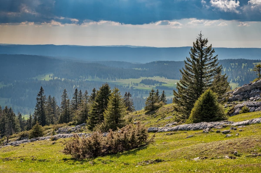 Jura Vaudois Nature Park, Vaud, Switzerland