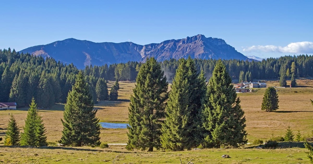 Vezzena plateau, Venetian Prealps, Italy
