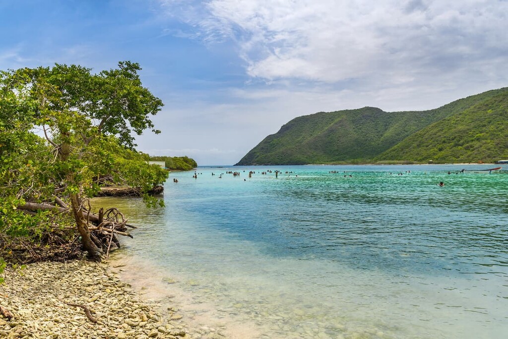 Henri Pittier National Park, Venezuela