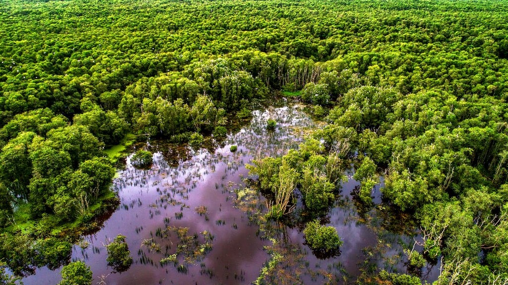 Tram Chim National Park, Vietnam