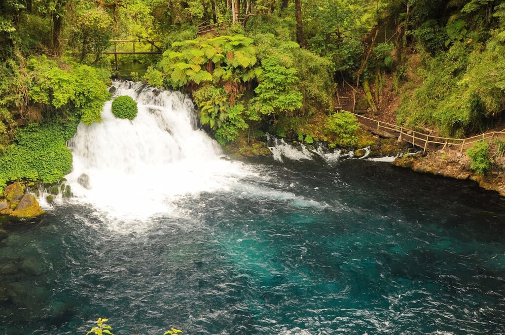 Puyehue National Park, Chile