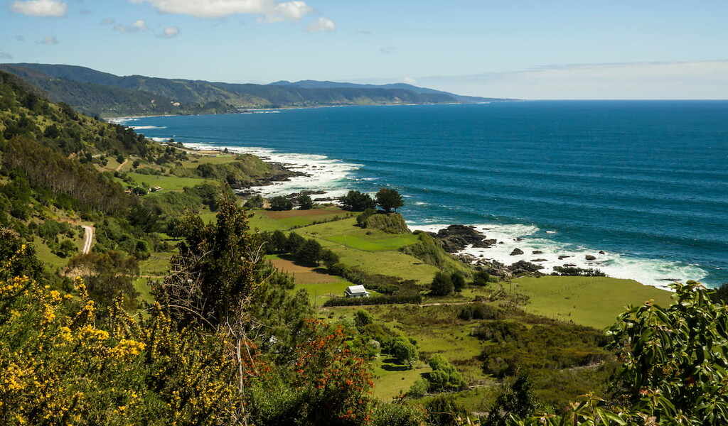 Valdivian Coastal, Chile