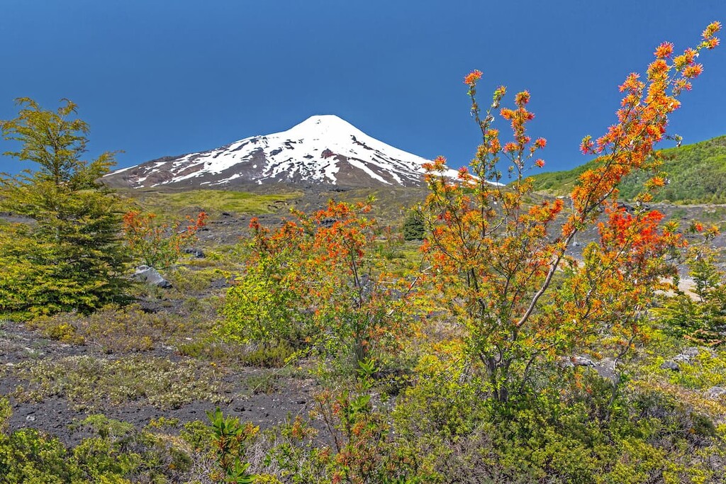 Villarrica National Park, Chile
