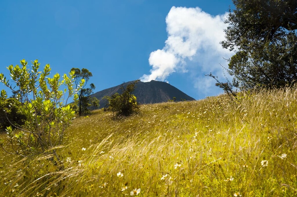 Volcan de Pacaya national park, Guatemala