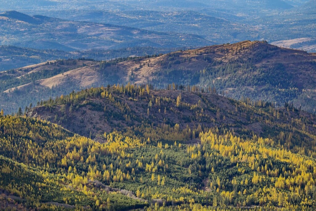Colville National Forest, Washington