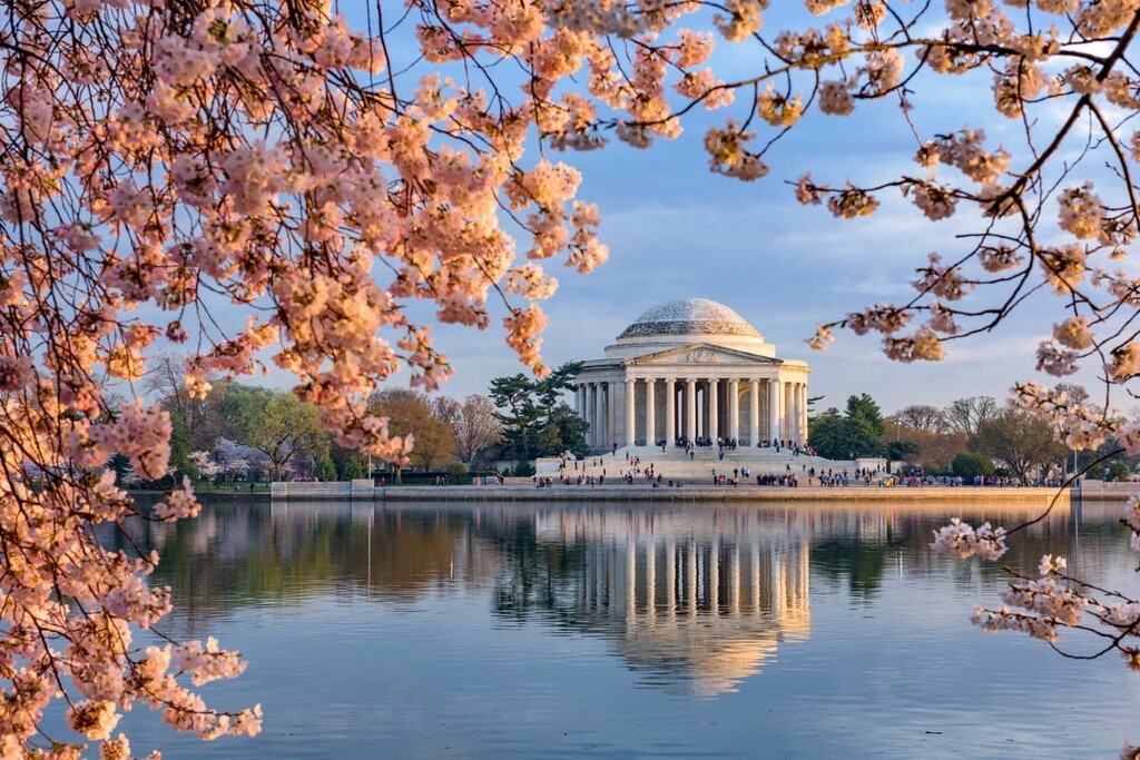 https://peakvisor.com/photo/Washington-District-of-Columbia-Cherry-blossoms.jpg