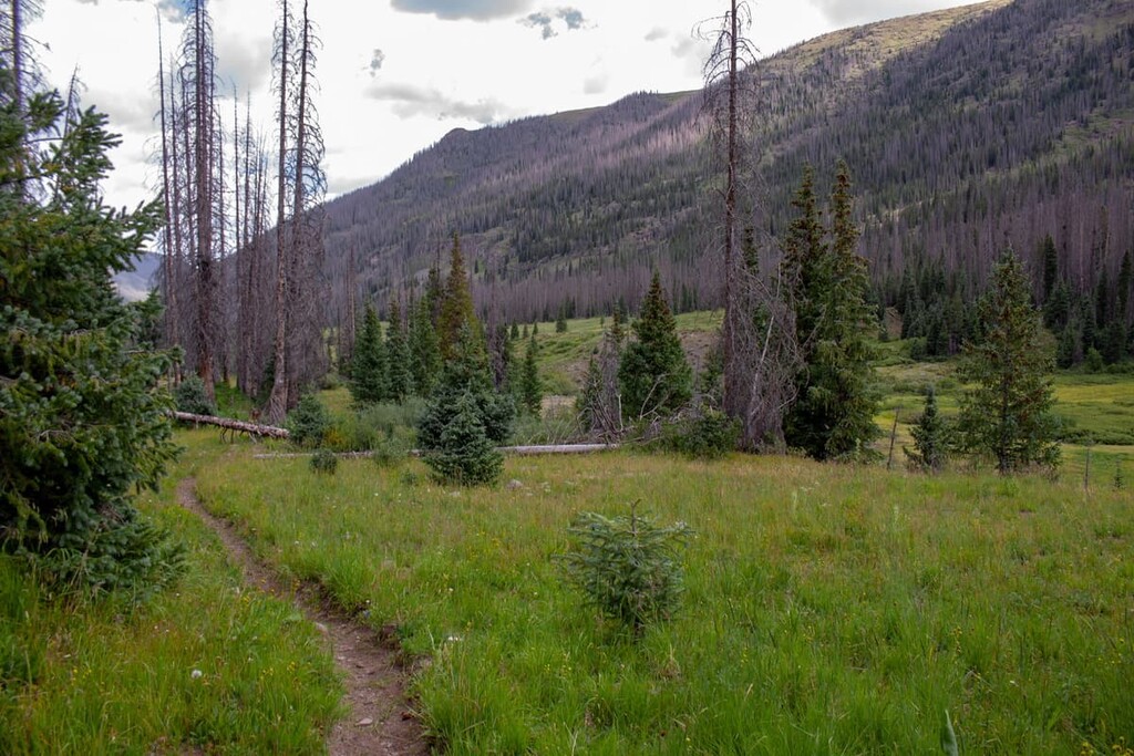 Hiking Trail, Weminuche Wilderness, US