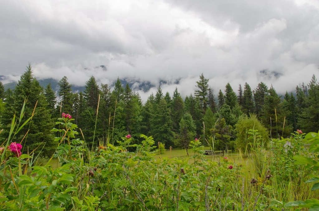 West Twin Provincial Park, British Columbia