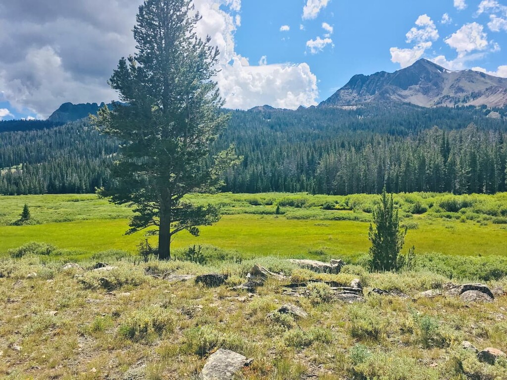 White Knob Mountains, Idaho