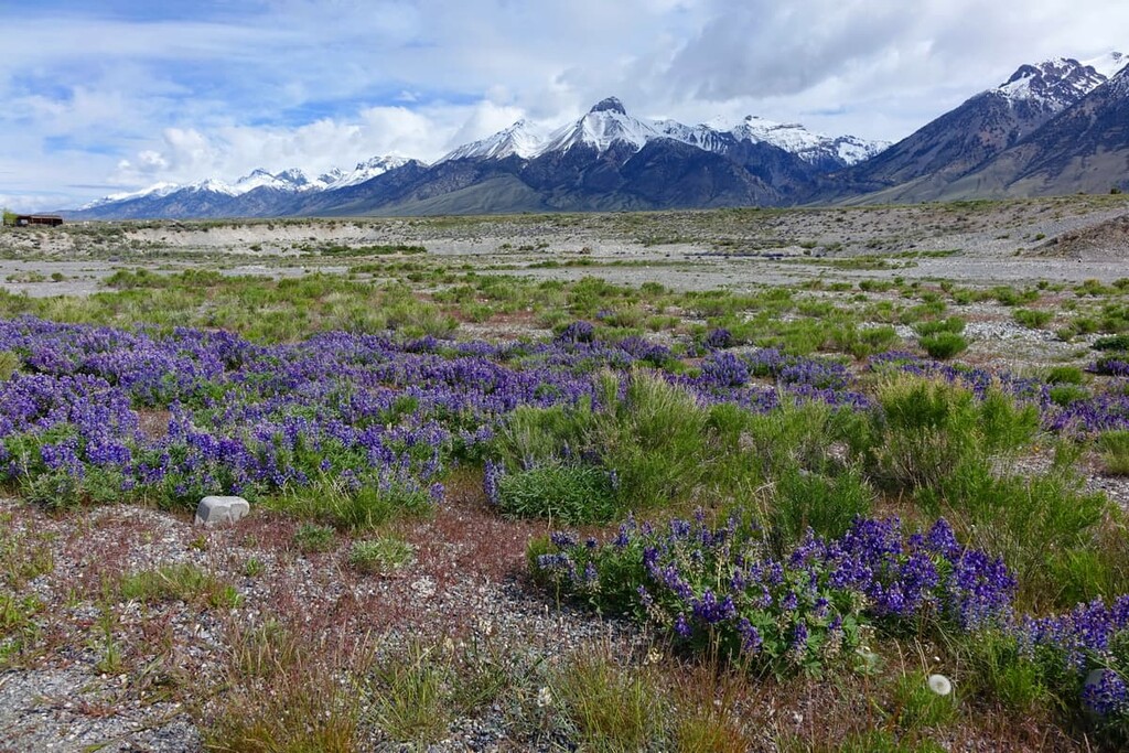 White Knob Mountains, Idaho