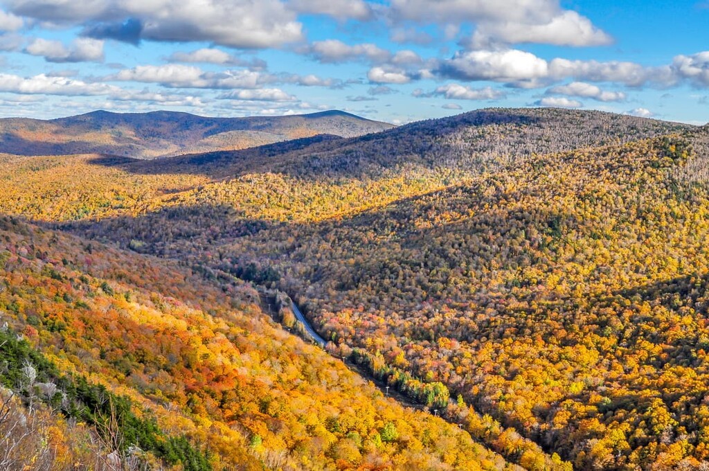 Long Trail in the Brandon Gap of Vermont