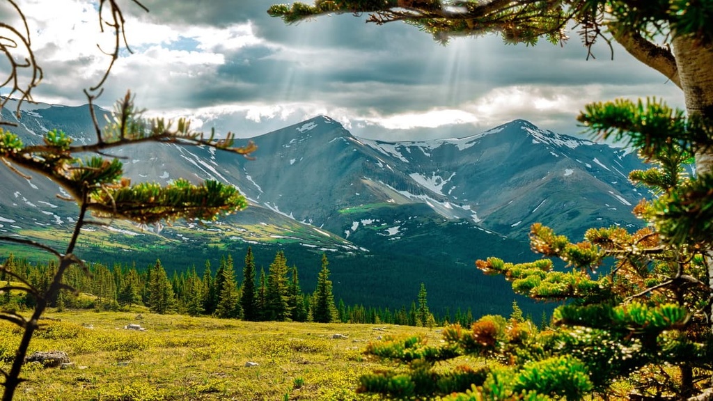 Whitehorse Wildland Provincial Park, Alberta