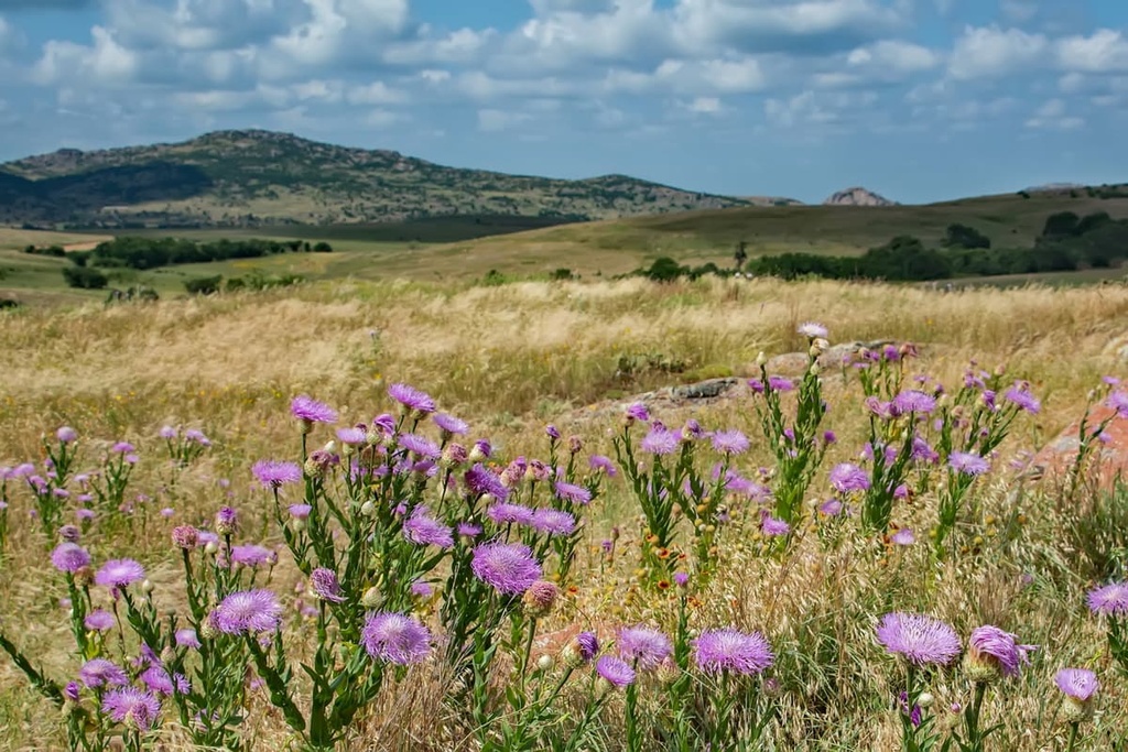Wichita Mountains National Wildlife Refuge, Oklahoma