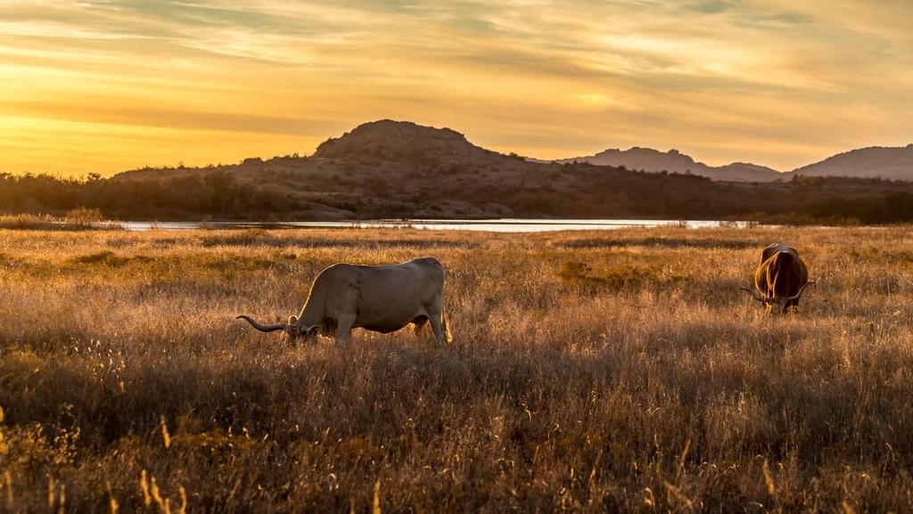 Wichita Mountains National Wildlife Refuge, Oklahoma