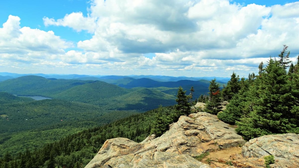 Wilcox Lake Wild Forest, New York