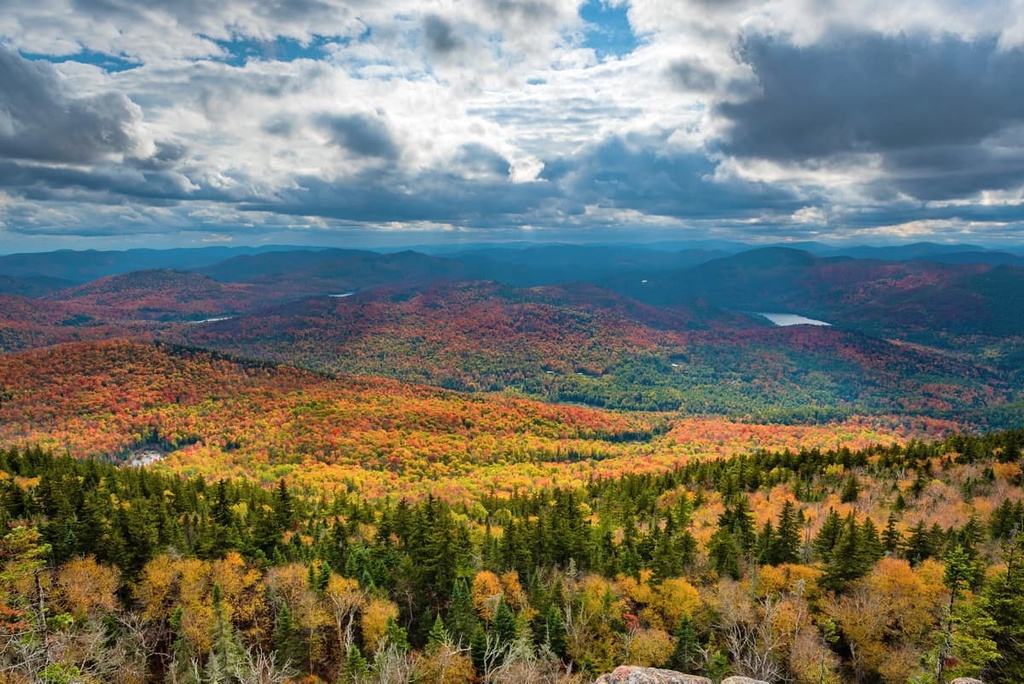Wilcox Lake Wild Forest, New York