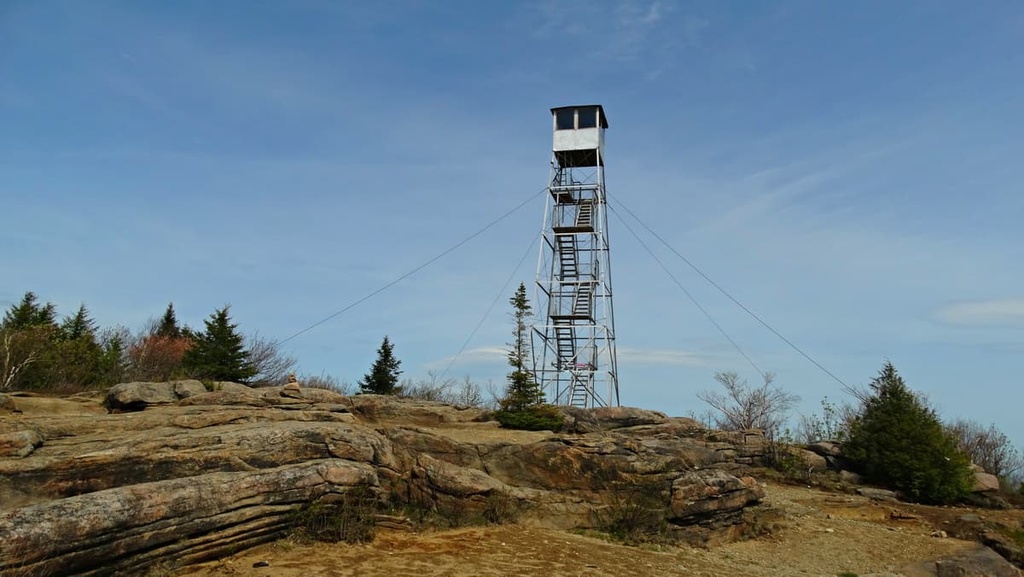 Wilcox Lake Wild Forest