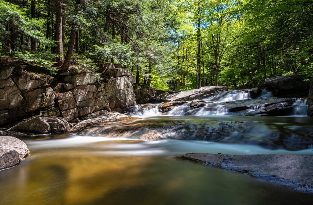 Wilcox Lake Wild Forest, New York
