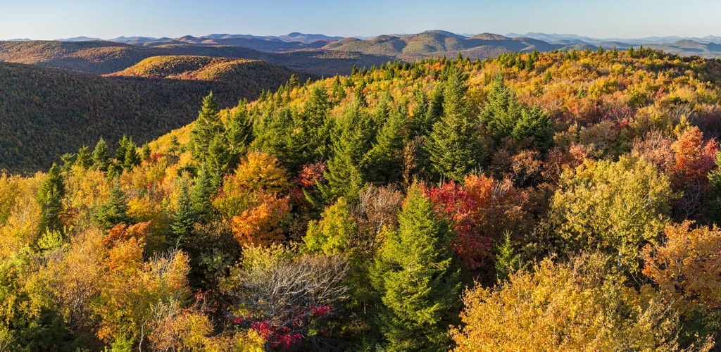Wilcox Lake Wild Forest, New York