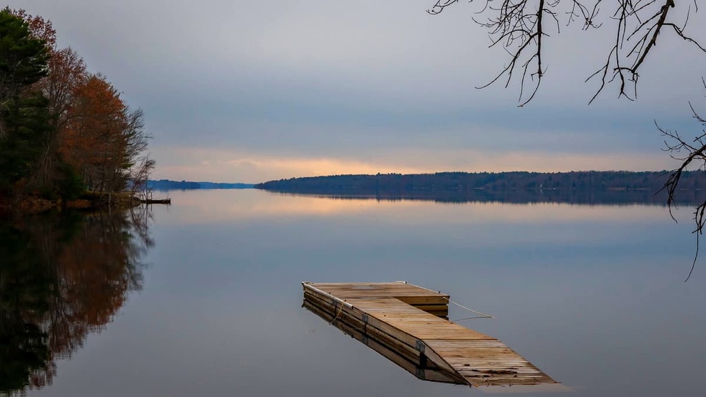 Wilcox Lake Wild Forest, New York