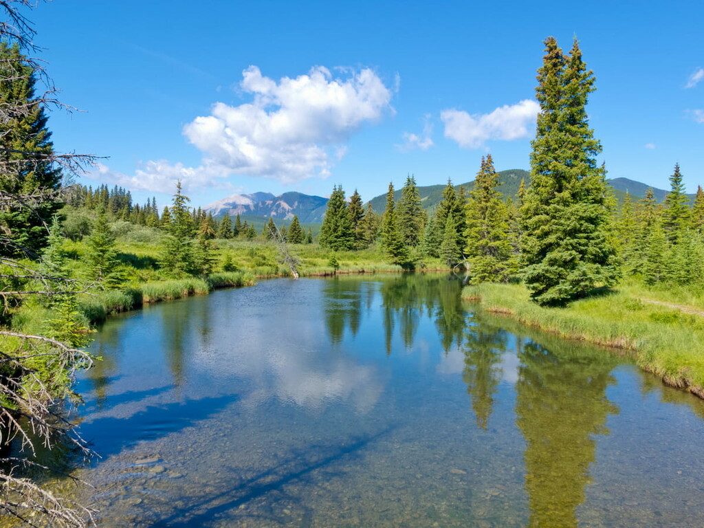 Small river. Willmore Wilderness Park, Canada