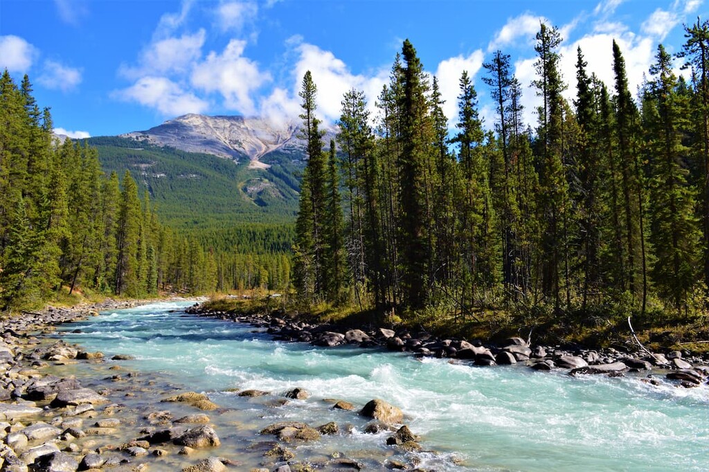 Sunwapta River, Winston Churchill Range, Canada