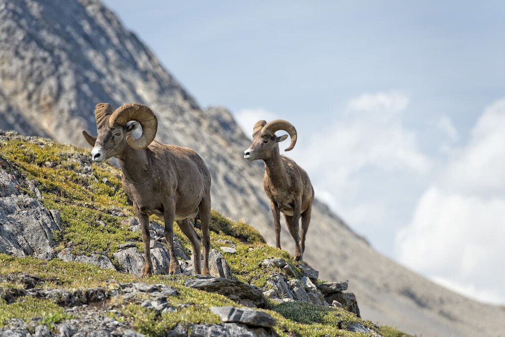 Winston Churchill Range, Canada