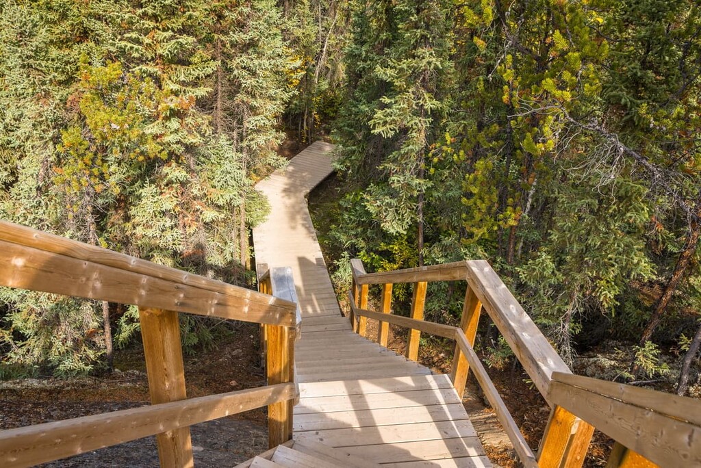 Wood Buffalo National Park, Alberta