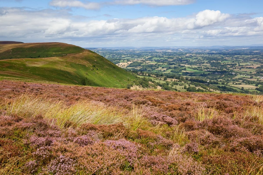 Offa's Dyke Path, Wye Valley AONB, England