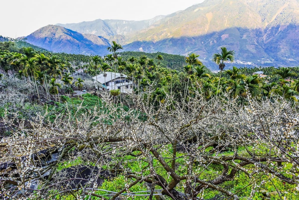 Xinyi Township, Taiwan