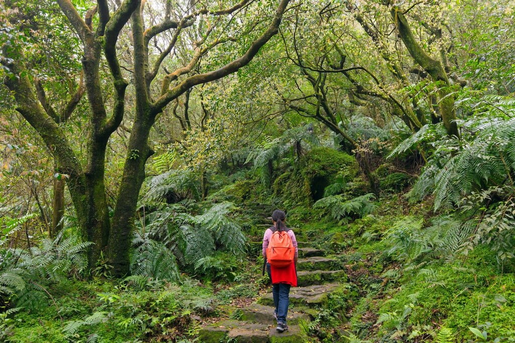 Yangmingshan National Park, Taiwan