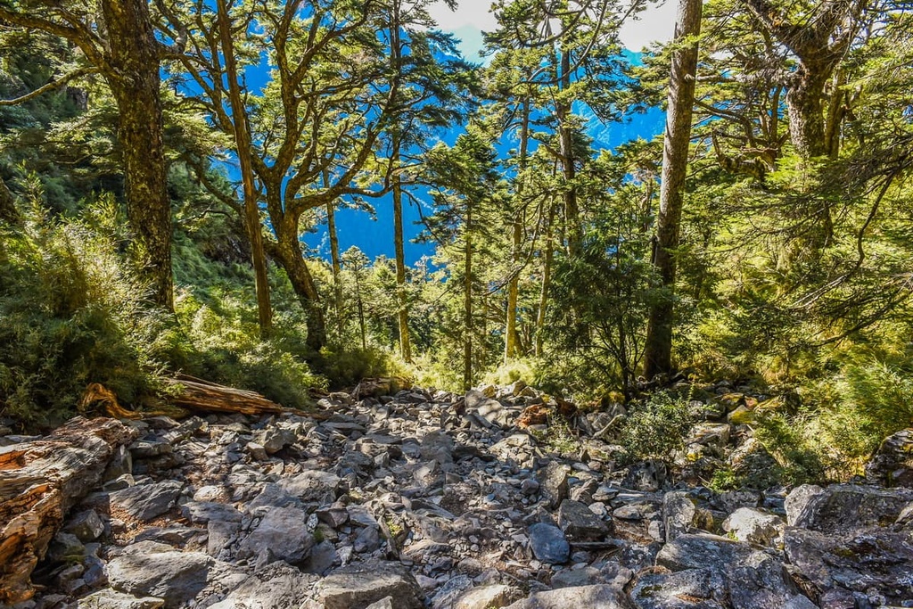 Yuli Wildlife Core Area, Taiwan