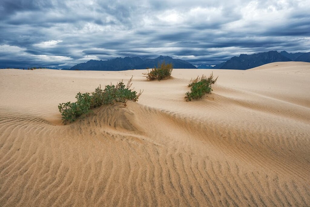Chara Sands Desert, Zabaikalsk Territory