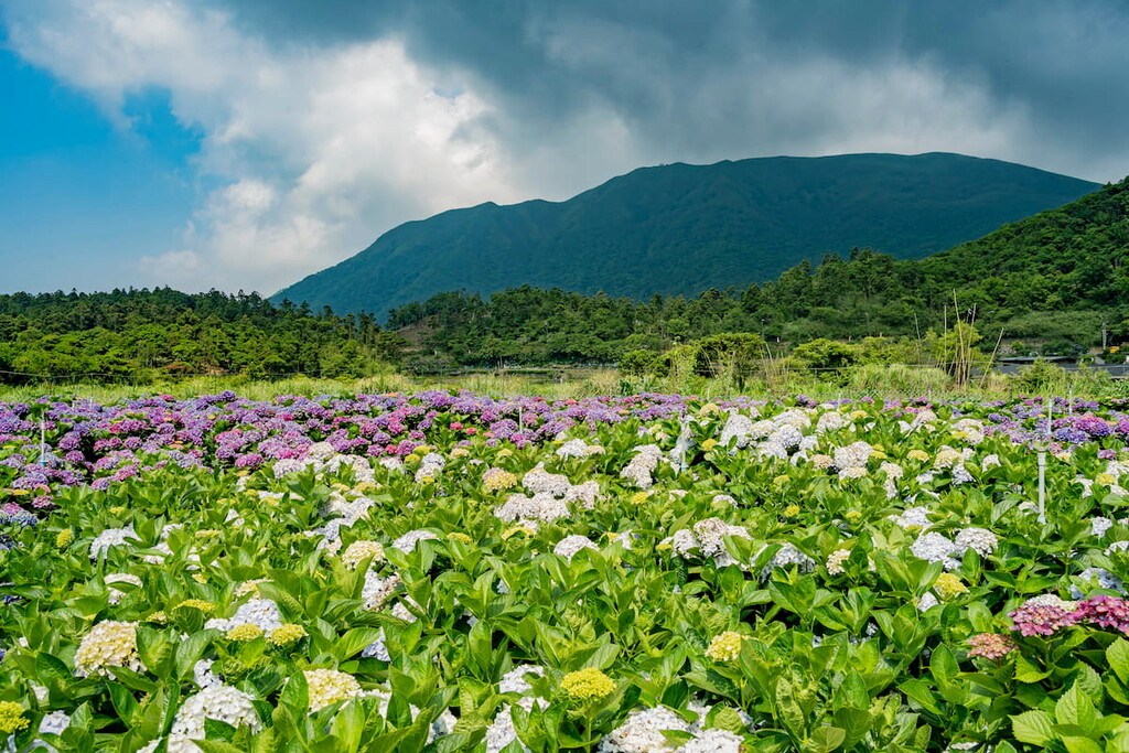 Zhuzishan Lujiaokeng River Outer Core Special Landscape, Taiwan