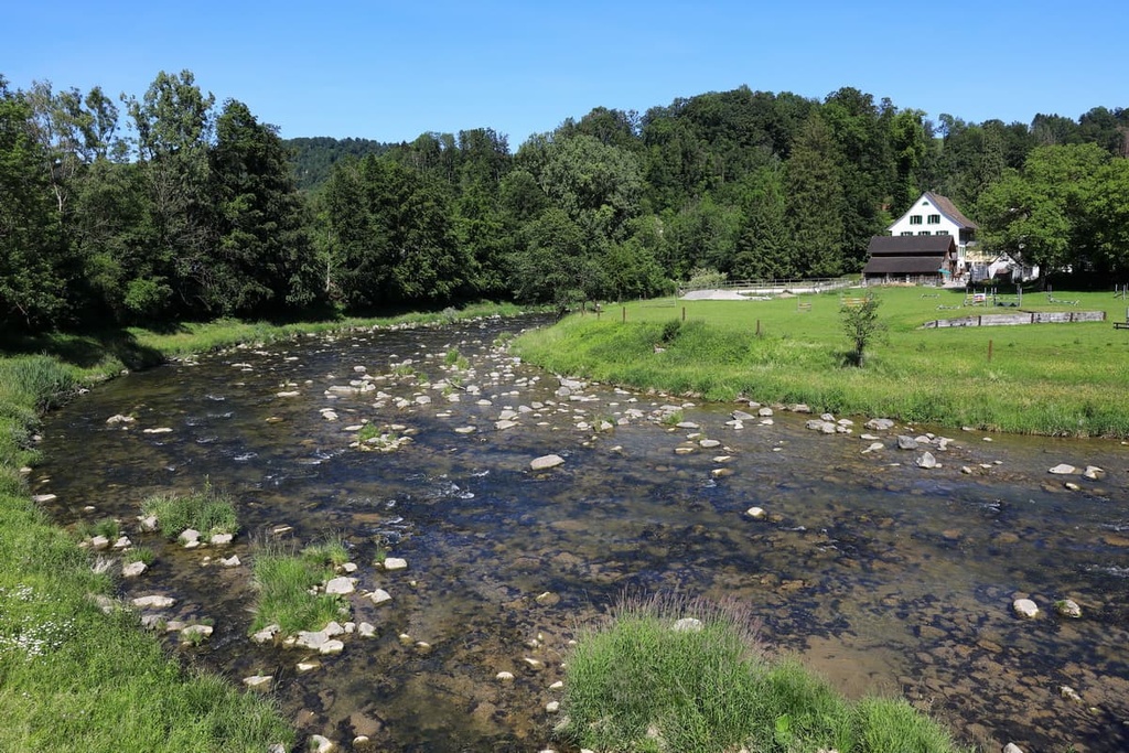 Zürich Wilderness Park, Switzerland