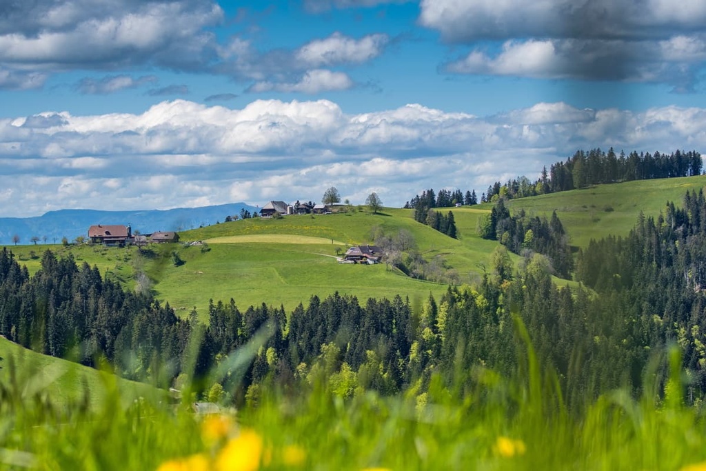 Zürich Wilderness Park, Switzerland
