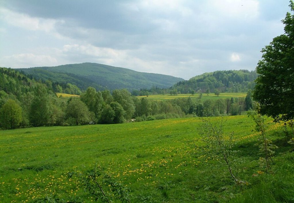 Photo №1 of Pěnkavčí vrch